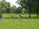 dsc01094.jpg