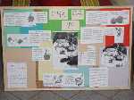 dsc06462.jpg