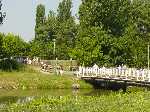 dsc01953.jpg