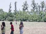 dsc02013.jpg