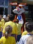 dsc00356.jpg