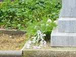 dsc00121.jpg