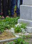 dsc00122.jpg