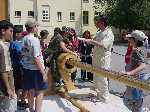 dsc00131.jpg