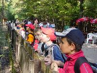 dsc07362.jpg