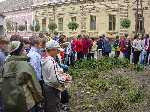 dsc07450.jpg