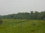 dsc06970.jpg