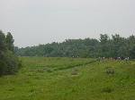 dsc06971.jpg