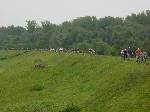 dsc06973.jpg