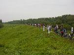 dsc06978.jpg