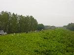 dsc06997.jpg
