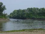 dsc07001.jpg