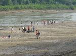 dsc07013.jpg