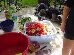 dsc07021.jpg