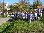 dsc07552.jpg