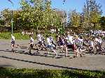 dsc07585.jpg