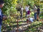 dsc07590.jpg