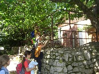 sany0079.jpg