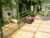 sany0085.jpg