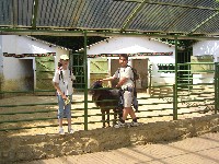 sany0086.jpg