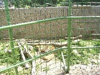 sany0088.jpg