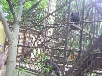 sany0089.jpg