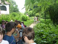 sany0127.jpg