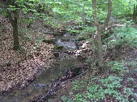 sany0132.jpg
