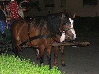 dscf0535.jpg
