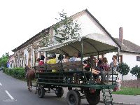 k_p_025.jpg