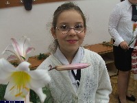dscf0551.jpg