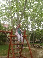 dsc08902.jpg