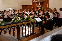 dsc_3161.jpg