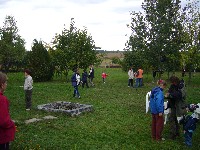 p1010007.jpg