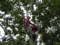 sany0001.jpg