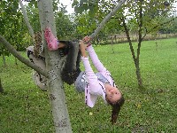 sany0004.jpg
