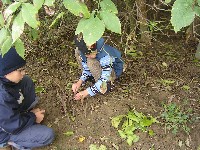 sany0008.jpg