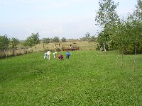 sany0094.jpg