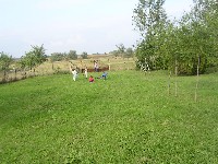 sany0095.jpg