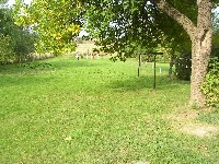 sany0097.jpg