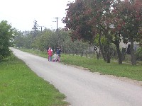 sany0125.jpg