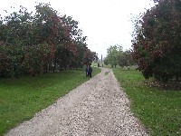 sany0127.jpg