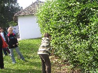 sany0148.jpg