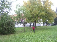 sany0199.jpg