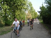 magyart_s_2008_003.jpg