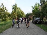 magyart_s_2008_004.jpg