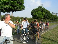 magyart_s_2008_007.jpg