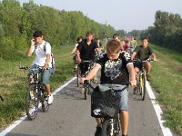 magyart_s_2008_010.jpg