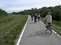 magyart_s_2008_093.jpg