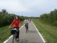 magyart_s_2008_100.jpg